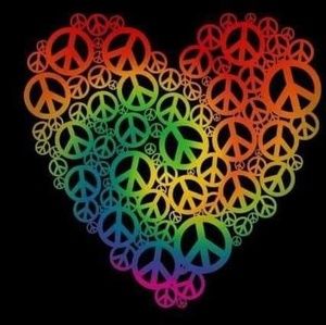 Meet your Posher, Traci mcnutt